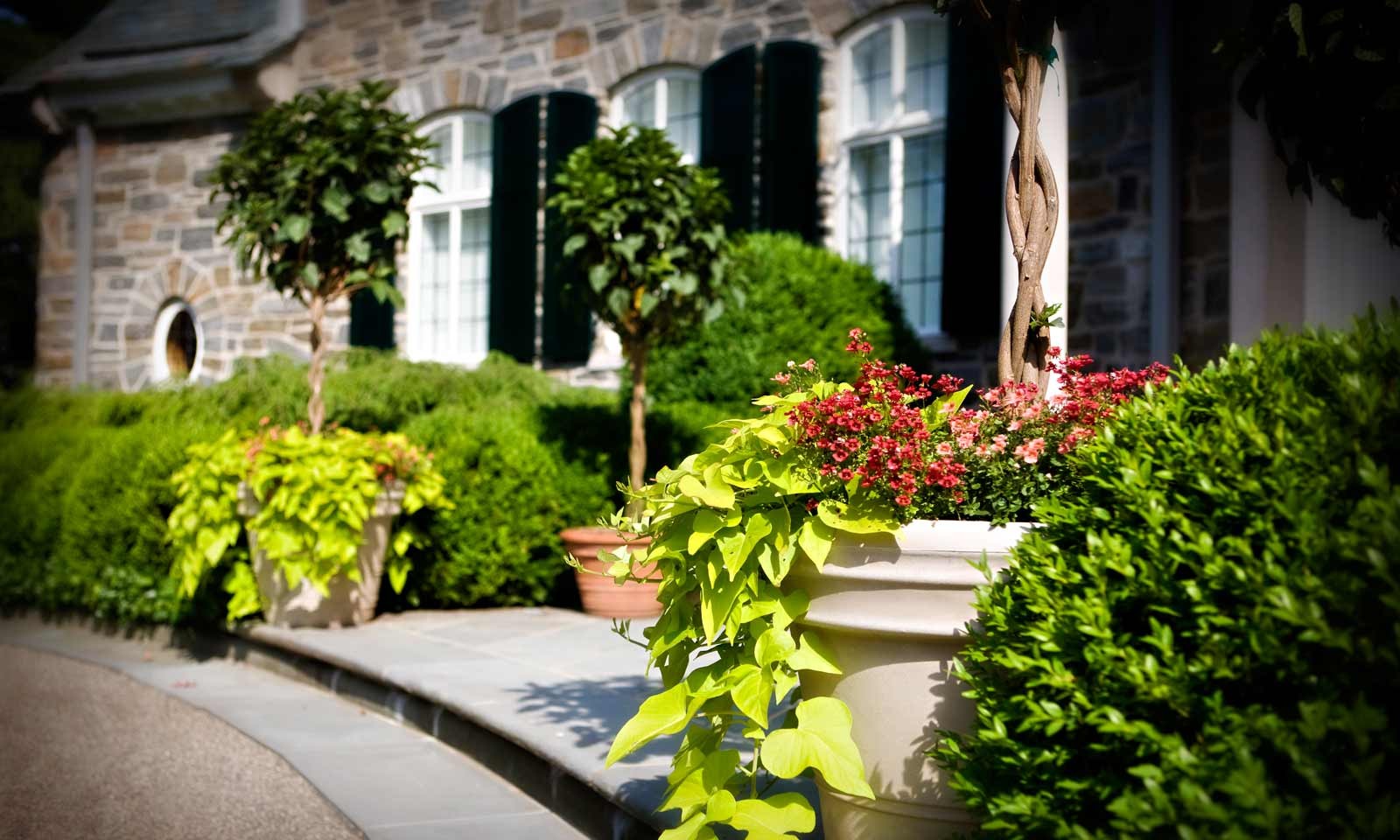 Landscape Design Gallery | Odd Job Landscaping